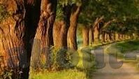 手游九州缥缈录下载-掌上江湖路——九州缥缈录手游下载与深度体验解析