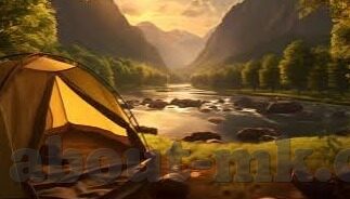 足球比分太低了-足球比分太低了，一场关于激情与效率的深度探讨